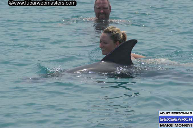 Local Billing Dolphin Encounter and Swim 2005