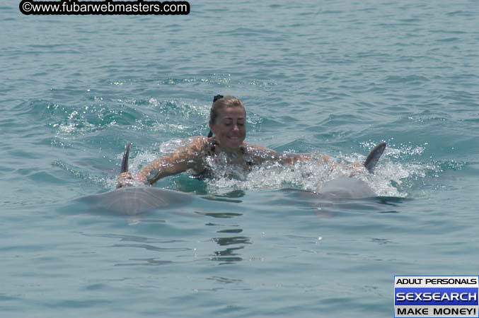 Local Billing Dolphin Encounter and Swim 2005