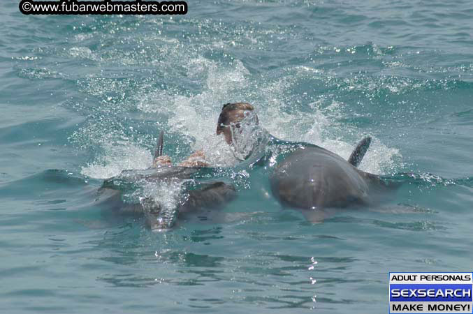 Local Billing Dolphin Encounter and Swim 2005