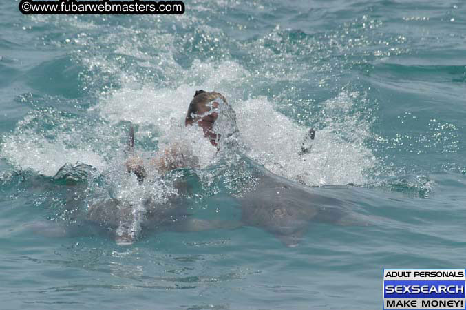 Local Billing Dolphin Encounter and Swim 2005