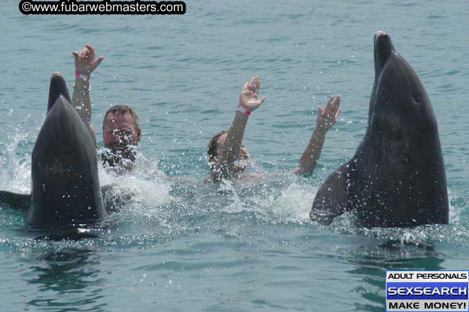 Local Billing Dolphin Encounter and Swim 2005