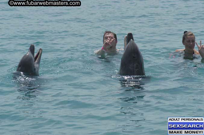 Local Billing Dolphin Encounter and Swim 2005