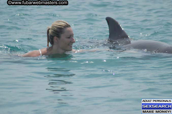 Local Billing Dolphin Encounter and Swim 2005