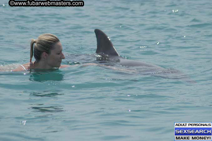 Local Billing Dolphin Encounter and Swim 2005