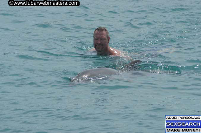 Local Billing Dolphin Encounter and Swim 2005