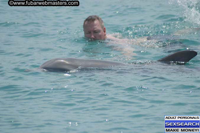 Local Billing Dolphin Encounter and Swim 2005