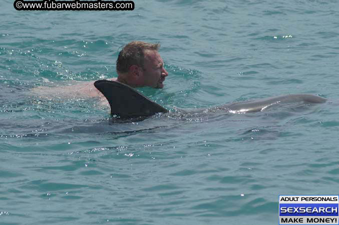 Local Billing Dolphin Encounter and Swim 2005