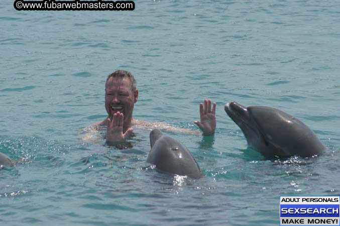 Local Billing Dolphin Encounter and Swim 2005