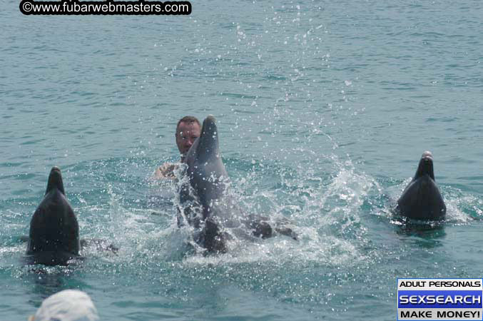 Local Billing Dolphin Encounter and Swim 2005