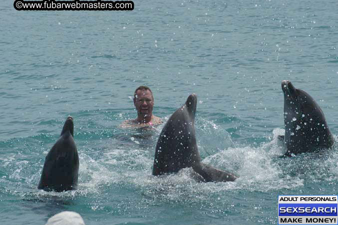 Local Billing Dolphin Encounter and Swim 2005