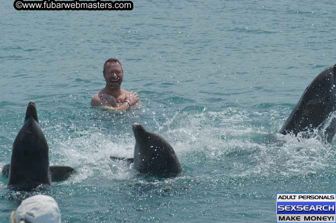 Local Billing Dolphin Encounter and Swim 2005