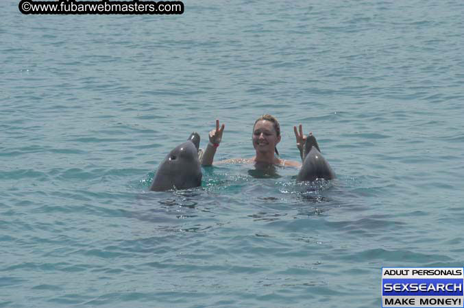 Local Billing Dolphin Encounter and Swim 2005