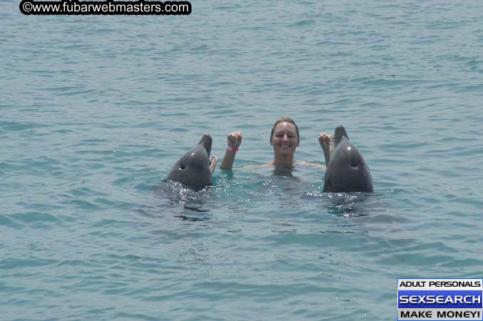 Local Billing Dolphin Encounter and Swim 2005