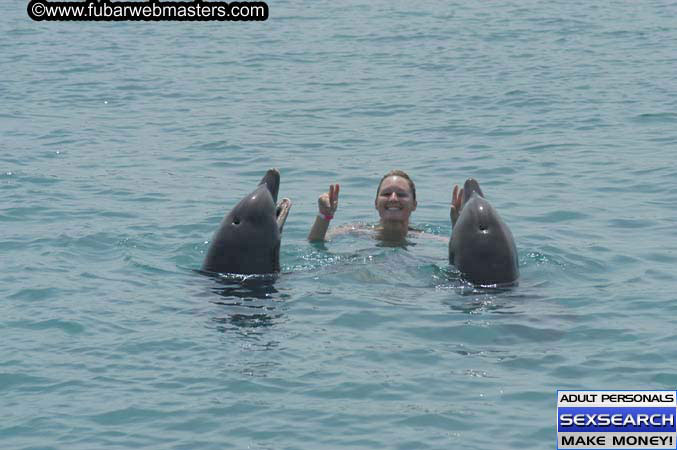 Local Billing Dolphin Encounter and Swim 2005