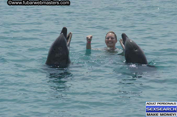 Local Billing Dolphin Encounter and Swim 2005