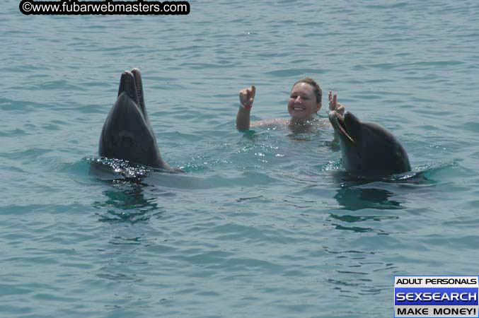 Local Billing Dolphin Encounter and Swim 2005