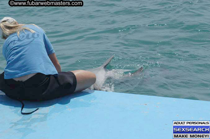 Local Billing Dolphin Encounter and Swim 2005