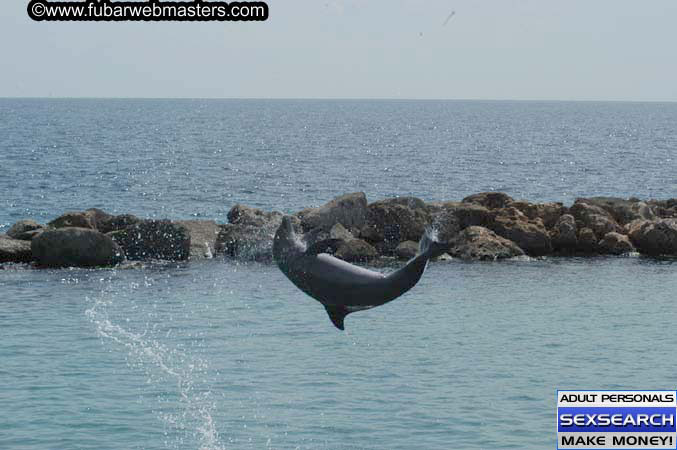 Local Billing Dolphin Encounter and Swim 2005