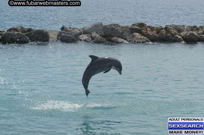 Local Billing Dolphin Encounter and Swim 2005