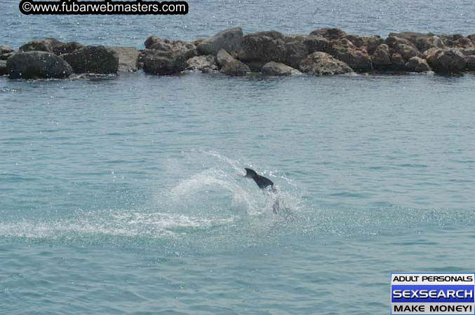 Local Billing Dolphin Encounter and Swim 2005