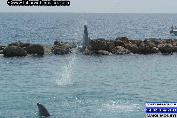 Local Billing Dolphin Encounter and Swim 2005