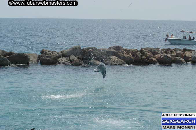 Local Billing Dolphin Encounter and Swim 2005