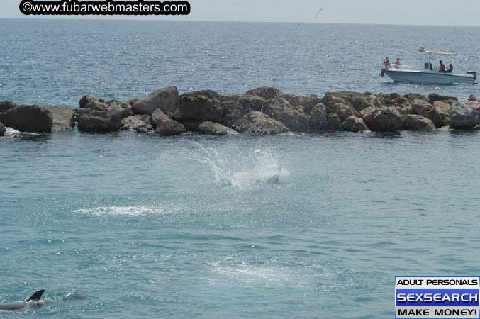 Local Billing Dolphin Encounter and Swim 2005