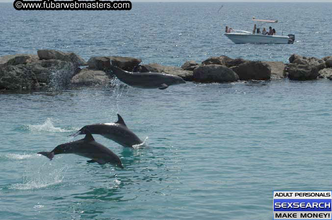 Local Billing Dolphin Encounter and Swim 2005