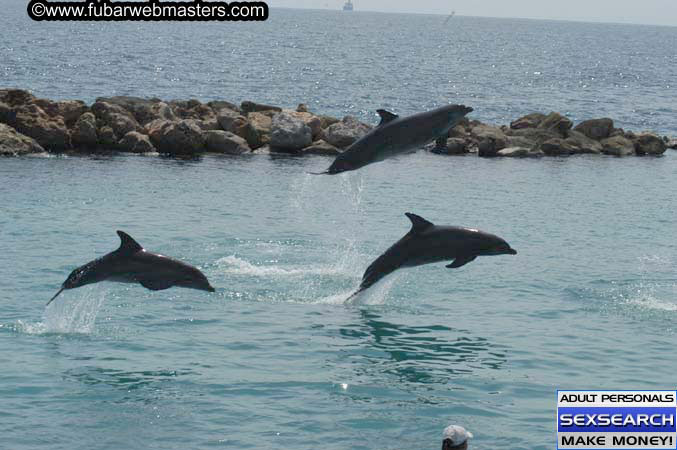 Local Billing Dolphin Encounter and Swim 2005