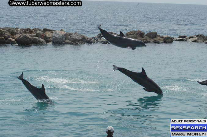 Local Billing Dolphin Encounter and Swim 2005