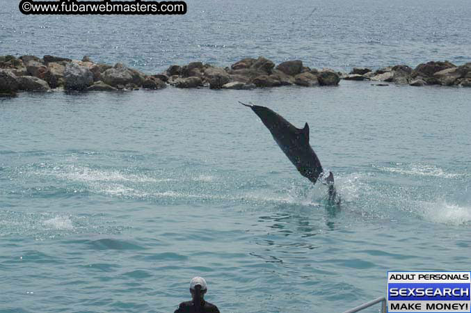 Local Billing Dolphin Encounter and Swim 2005