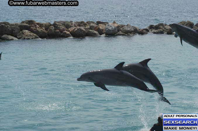 Local Billing Dolphin Encounter and Swim 2005