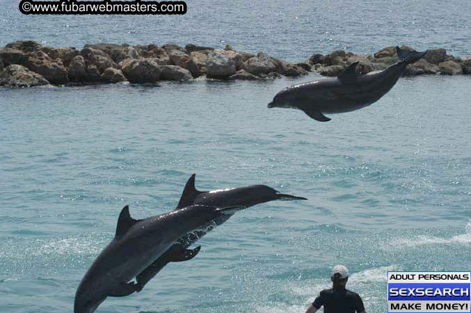 Local Billing Dolphin Encounter and Swim 2005