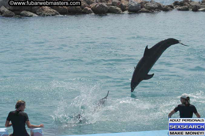 Local Billing Dolphin Encounter and Swim 2005