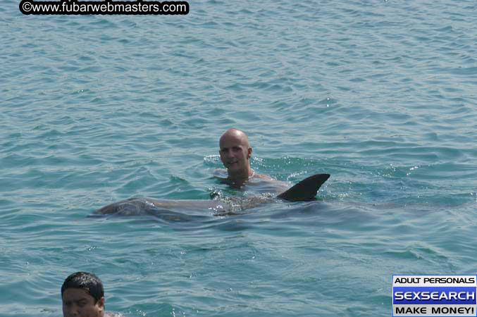 Local Billing Dolphin Encounter and Swim 2005