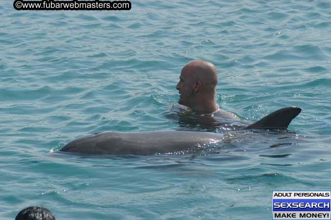 Local Billing Dolphin Encounter and Swim 2005