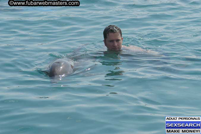 Local Billing Dolphin Encounter and Swim 2005