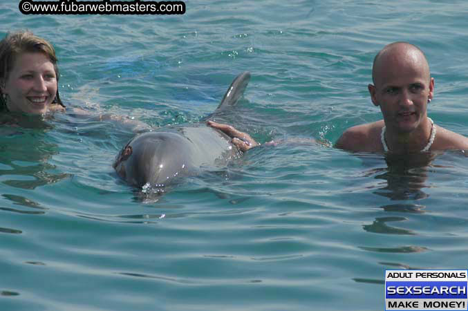 Local Billing Dolphin Encounter and Swim 2005