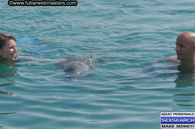 Local Billing Dolphin Encounter and Swim 2005