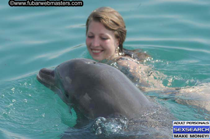 Local Billing Dolphin Encounter and Swim 2005