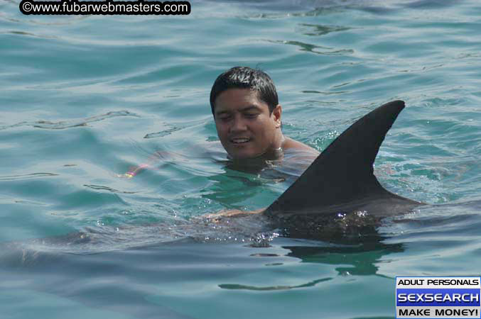 Local Billing Dolphin Encounter and Swim 2005