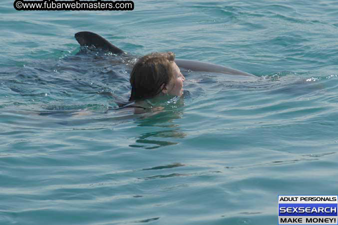 Local Billing Dolphin Encounter and Swim 2005