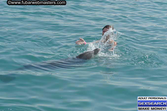 Local Billing Dolphin Encounter and Swim 2005