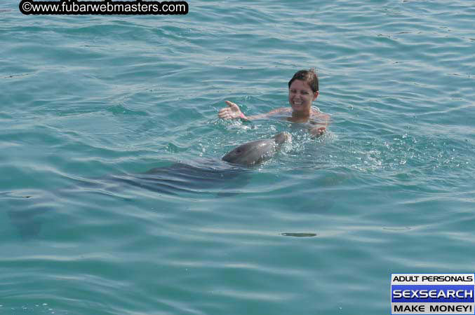 Local Billing Dolphin Encounter and Swim 2005