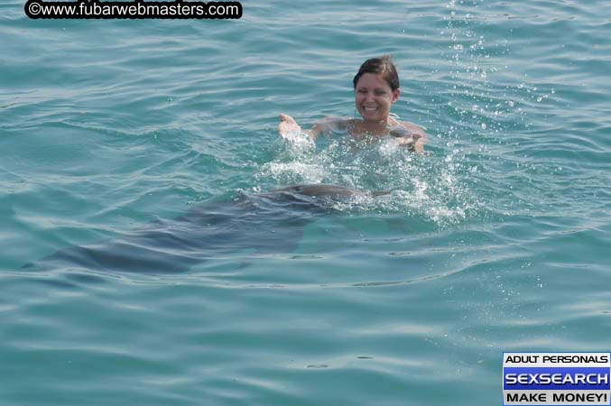 Local Billing Dolphin Encounter and Swim 2005