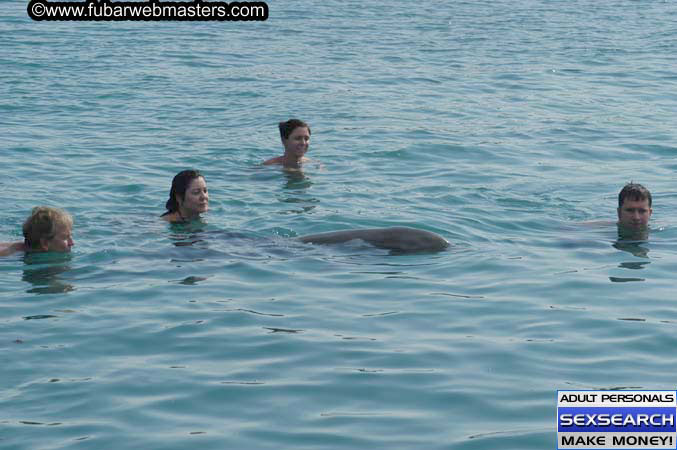 Local Billing Dolphin Encounter and Swim 2005