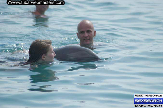 Local Billing Dolphin Encounter and Swim 2005