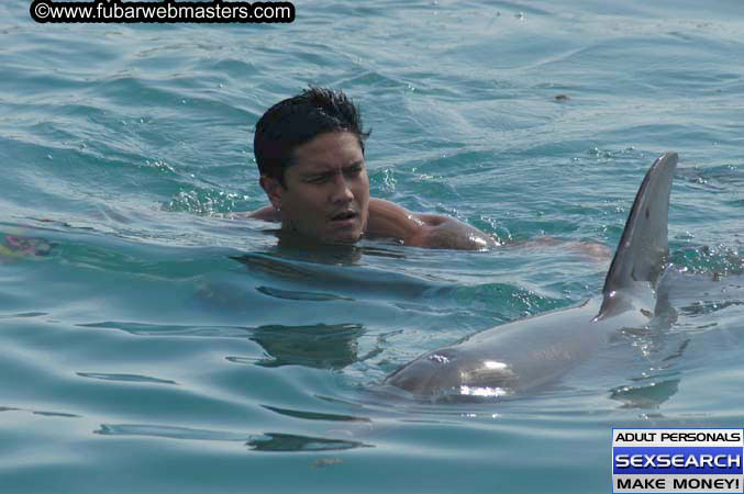 Local Billing Dolphin Encounter and Swim 2005