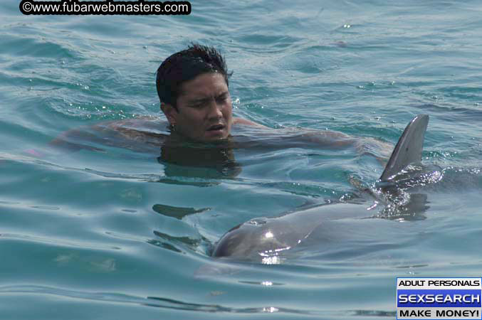 Local Billing Dolphin Encounter and Swim 2005