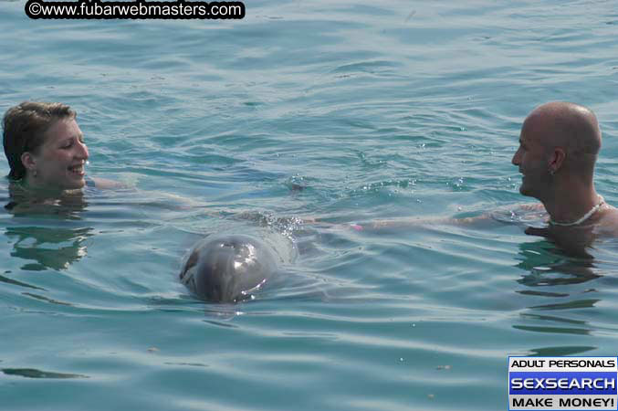 Local Billing Dolphin Encounter and Swim 2005